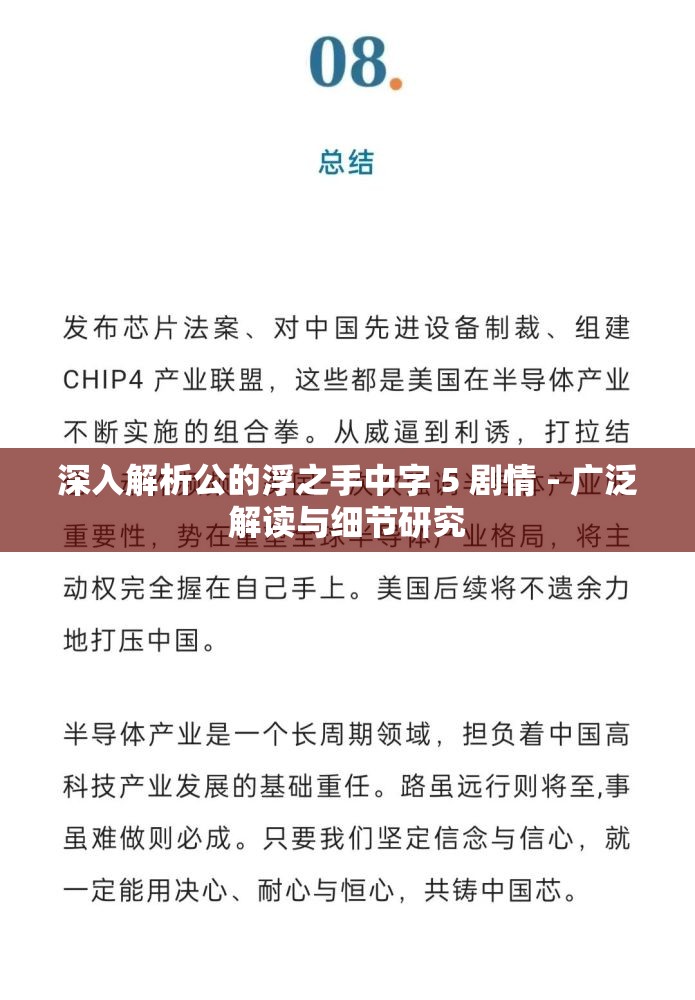 深入解析公的浮之手中字 5 剧情 - 广泛解读与细节研究