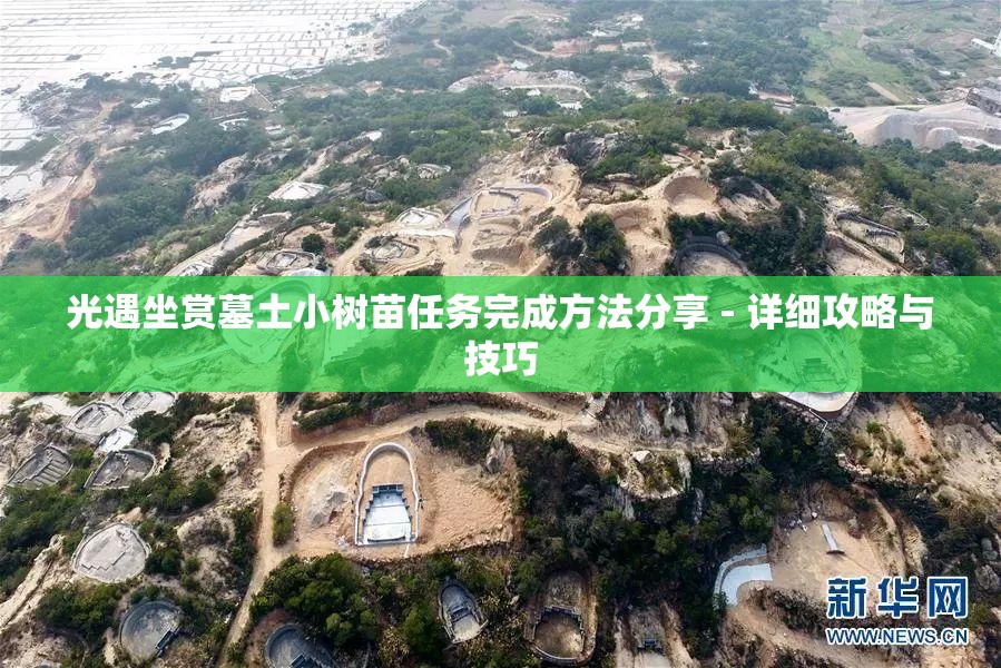 光遇坐赏墓土小树苗任务完成方法分享 - 详细攻略与技巧