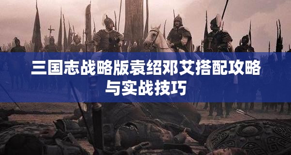 三国志战略版袁绍邓艾搭配攻略与实战技巧