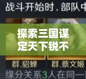 探索三国谋定天下锐不可当战法的战略智慧