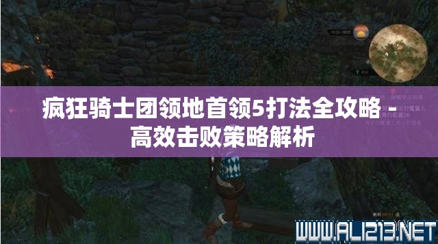 疯狂骑士团领地首领5打法全攻略 - 高效击败策略解析