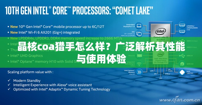晶核coa猎手怎么样？广泛解析其性能与使用体验