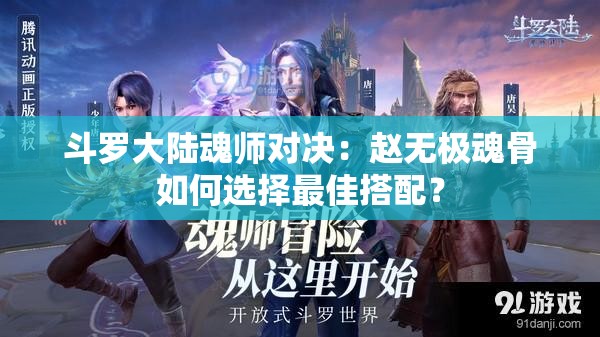 斗罗大陆魂师对决：赵无极魂骨如何选择最佳搭配？